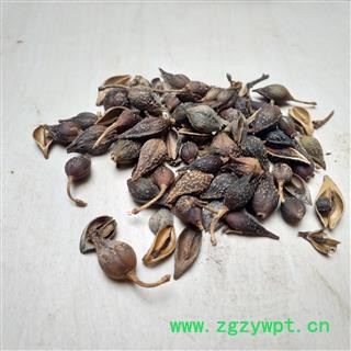 连翘 青翘水煮（汽蒸）选货 产地 山西省图2