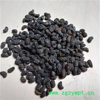 女贞子  女贞子腰果净货 产地 安徽省图2