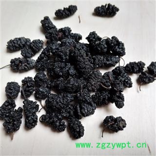 桑葚子 药用统货 干净无杂质 产地 新疆维吾尔自治区图2