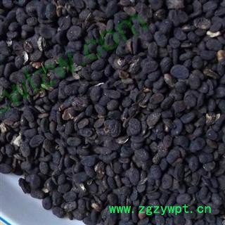 补骨脂 选 故之子 黑故子 破故纸 产地 安徽省亳州市亳州药市图2