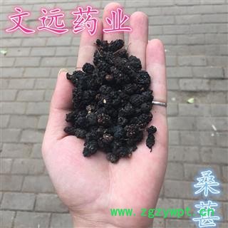 桑椹子 统装 产地 河南省新乡市卫滨区图2