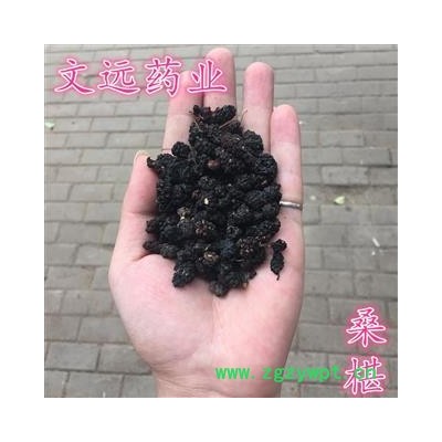 桑椹子 统装 产地 河南省新乡市卫滨区