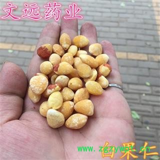 白果 白果仁选装 产地 江苏省淮安市市辖区图2