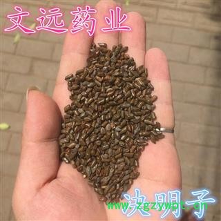 决明子 国产决明子选货 产地 河南省南阳市图2