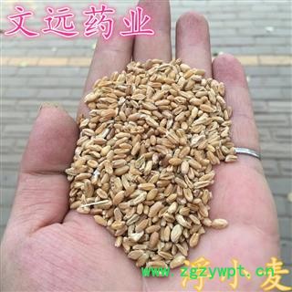 浮小麦 统装  净货 产地 湖北省武汉市市辖区图2