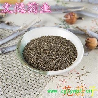 茺蔚子 选 益母草子 产地 河南省图2