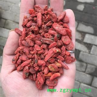 枸杞子 中选  350颗粒 产地 宁夏回族自治区图3