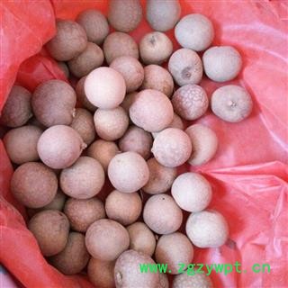 桂圆肉 选货 产地 广东省图2