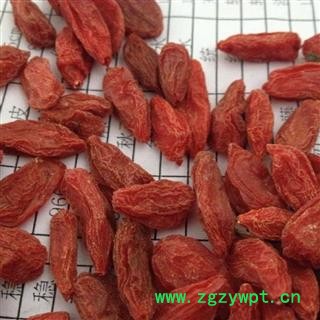 枸杞子 枸杞 宁夏220粒 产地 宁夏回族自治区中卫市中宁县图3