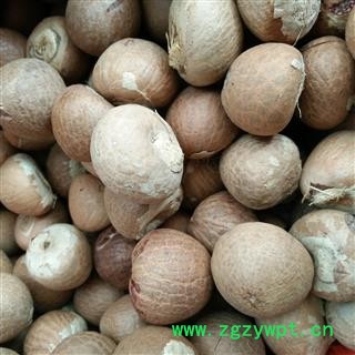 槟榔 大白 槟榔球  槟榔个 选个 产地 云南省图3