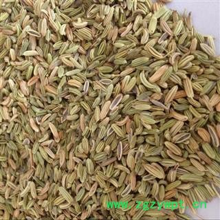 小茴香 小茴香净货 产地 甘肃省 买好药找娟子 专业批发中药材图3