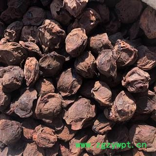 乌梅 乌梅精选大个 肉厚 酸梅、黄仔、合汉梅、干枝梅  产地 四川省攀枝花市西区 买好呀找娟子图2