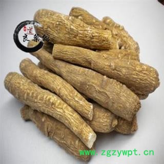 白芷统个 产地四川  药典标准 地道良药馆 品种齐全 一站购齐图3