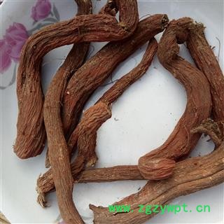 丹参 选货大条 产地 河南省平顶山市汝州市图4