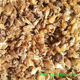 薤白 野生新货 产地 河南省平顶山市汝州市图4