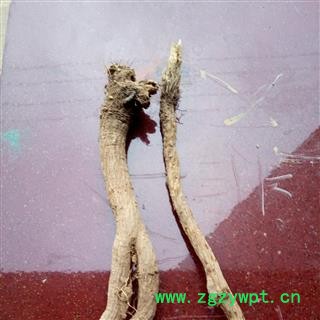 禹漏芦 野生漏芦 产地 河南省平顶山市汝州市图2