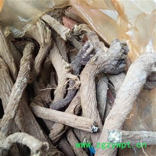 禹漏芦 野生漏芦 产地 河南省平顶山市汝州市图4