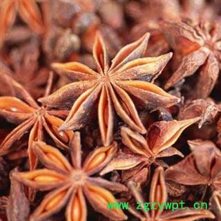 娟子中药 八角大茴 统货 产地 广西壮族自治区图4