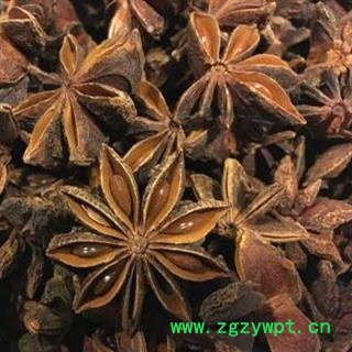 娟子中药 八角大茴 统货 产地 广西壮族自治区图3