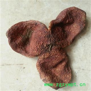 陈皮 陈皮陈货选个  十年以上新会陈皮 正宗新会橙皮  产地 浙江省图3