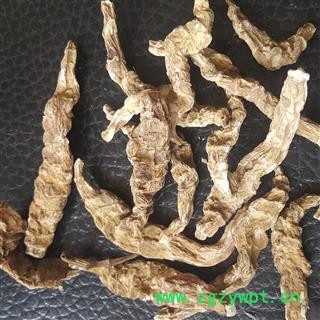 吉康药业起阳草云南起阳草图2