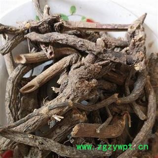 京大戟 下马仙 大戟产地直销重在品质吉康药业图2