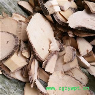 山栀子 山栀根 栀子根 枝子根  产地 江西省图2