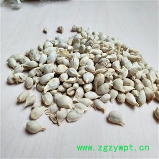 桔核 橘核 广柑核统货 产地 广东省图2
