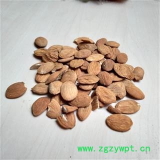 桃仁 山桃仁选货 无干瘪无杂质 产地 山东省图2