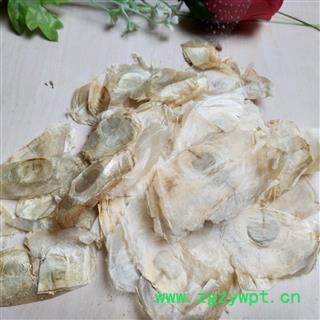 木蝴蝶 木蝴蝶统货 产地 云南省图2