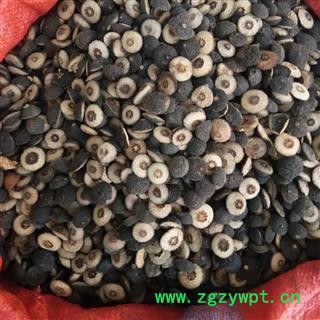 枳实 鹅眼枳实 湖南鹅眼枳实 产地 湖南省图2