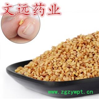 柏子仁 柏子仁精选货 无壳  产地 山东省淄博市市辖区图3