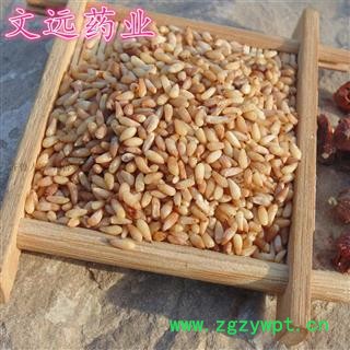 柏子仁 柏子仁精选货 无壳  产地 山东省淄博市市辖区图2