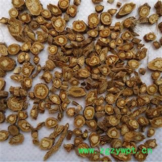 防风 北防风 自产自销批发零售 产地河北安国重在品质籽播防风吉康药业图2