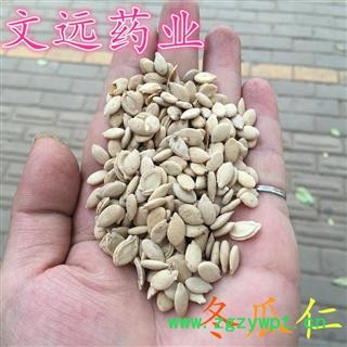 冬瓜子 冬瓜仁 产地 河南省图2