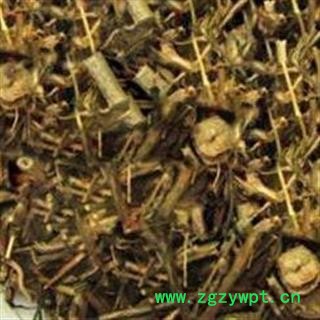 吉康药业野甘草 香仪 珠子草 假甘草 土甘草 假枸杞 四进茶 冰糖草 通花草 节节珠图2