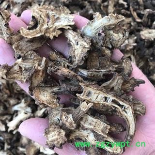 新辉药业独活 川独活图2