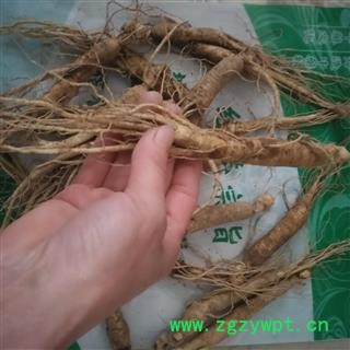 新辉药业长白山鲜参 鲜土参 煲汤泡酒图3