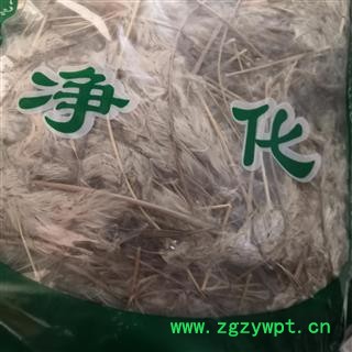 新辉药业正品白毛花  白茅花  茅针花图2