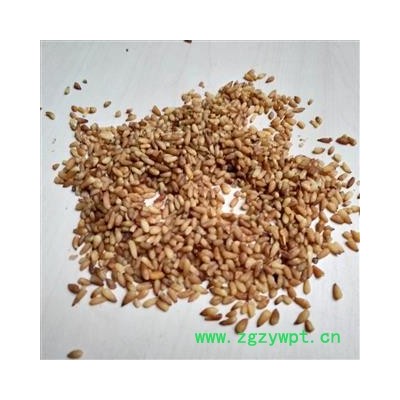 柏子仁 统货 有碎瓣 产地 山东省