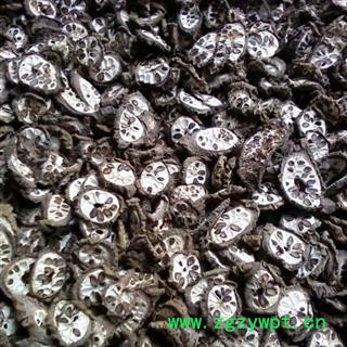 八月札 预知子畜蓄子、木通子、八月瓜、八月炸、羊开口 统货 产地 陕西省图2