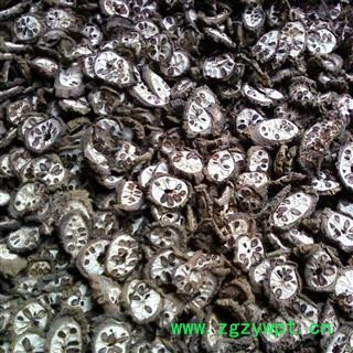 八月札 预知子畜蓄子、木通子、八月瓜、八月炸、羊开口 统货 产地 陕西省图3