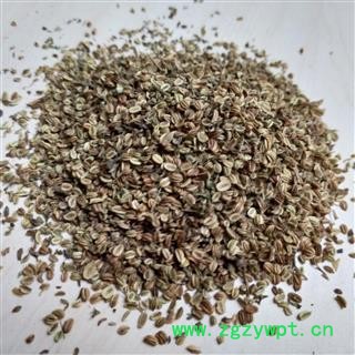 蛇床子 颗粒饱满 选货 大粒蛇床子 蛇米 双肾子 蛇米 蛇珠 蛇粟 蛇床仁 蛇床 气果 额头花子 野茴香 统货 产地 内蒙古图3