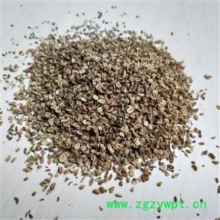 蛇床子 颗粒饱满 选货 大粒蛇床子 蛇米 双肾子 蛇米 蛇珠 蛇粟 蛇床仁 蛇床 气果 额头花子 野茴香 统货 产地 内蒙古图2