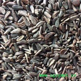 牛蒡子 大力子 牛蒡子净货 优质选货  产地 黑龙江省图2