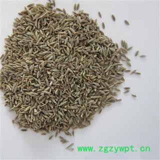 孜然 选货 产地 安徽省图2