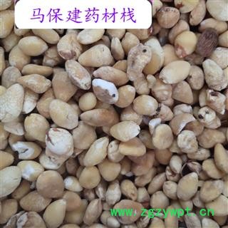 白果 白果仁选货 产地 江苏省图2