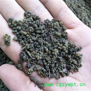 吴茱萸 吴茱萸中花统货 产地 江西省赣州市 买好药找娟子图2