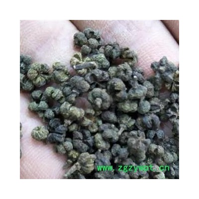 吴茱萸 吴茱萸中花统货 产地 江西省赣州市 买好药找娟子