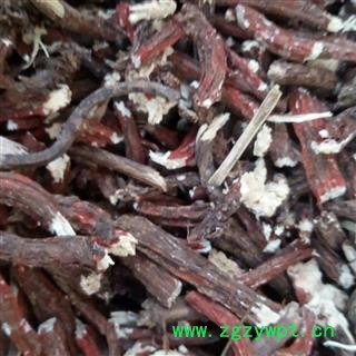 野生丹参 精选丹参 产地 河南省平顶山市汝州市图3